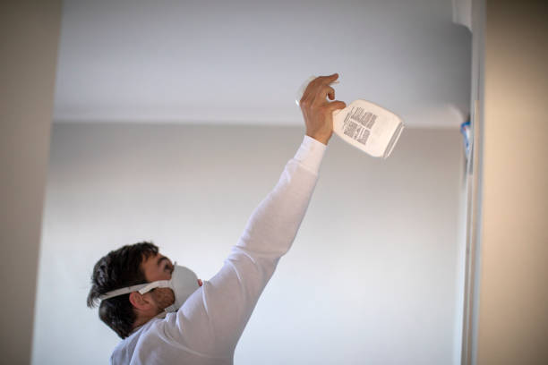 Best Crawl Space Mold Removal  in Willow Springs, MO